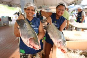 Feirão do Pescado terá mais de 90 toneladas de peixe em dois pontos de Manaus