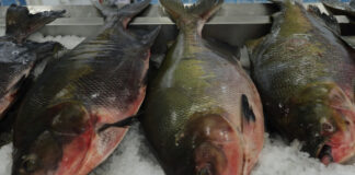 Mega Torra Torra do Vitória Supermercados agita Manaus