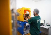 Hospital Veterinário do Amazonas registra mais de 287 mil procedimentos em seis meses de funcionamento