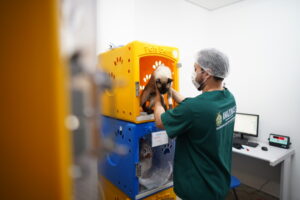 Hospital Veterinário do Amazonas registra mais de 287 mil procedimentos em seis meses de funcionamento