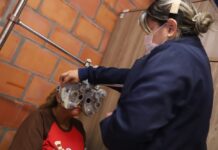 Beneficiários do Prosamin+ recebem atendimentos oftalmológicos gratuitos na zona Sul de Manaus