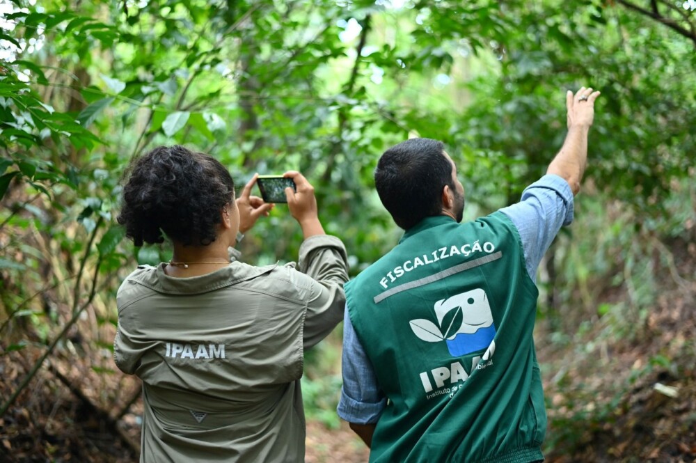 Desmatamento no Amazonas cai 30,1% no primeiro trimestre de 2026, aponta Inpe