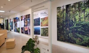 Unidades de conservação brasileiras ganham destaque em exposição na Alemanha