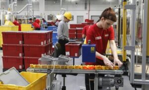 Operador de produção industrial em tempo integral: veja os requisitos e como se candidatar