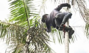 Governo Federal investe R$ 132 milhões em regularização fundiária na Amazônia
