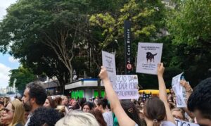 Cão Orelha: Justiça arquiva caso a pedido do Ministério Público