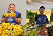 ADS realiza 10 edições das Feiras de Produtos Regionais em Manaus nesta semana