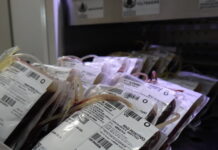 Hospitais da rede estadual usam cerca de 1,2 mil bolsas de sangue por mês e reforçam campanha de doação