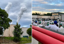 Vazamento de gás estireno mobiliza forças de segurança no Distrito Industrial - Imagens: Portal Ponta Negra