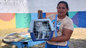 Castração gratuita em Manaus: agendamento para cães e gatos começa nesta quarta-feira (15)