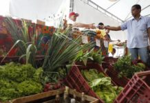 Decreto adia exigência de CNPJ para autônomos e produtores rurais
