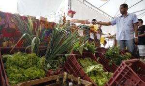 Decreto adia exigência de CNPJ para autônomos e produtores rurais