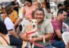 Sepet abre 270 vagas para castração gratuita de cães e gatos em Manaus; veja como agendar