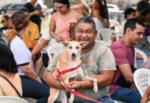 Sepet abre 270 vagas para castração gratuita de cães e gatos em Manaus; veja como agendar