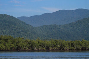 Mata Atlântica reúne destinos para trilhas, cachoeiras e paisagens naturais pelo Brasil