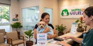 Saúde Animal ao Alcance de Todos: Clínica Veterinária Shopping da Natureza Facilita Pagamento de Cirurgias e Internações