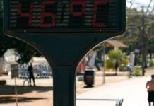 Ondas de calor ainda são negligenciadas no Brasil, diz pesquisadora