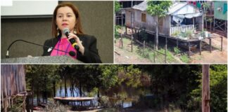 Maior bioma do mundo está no centro das mudanças climáticas e enfrenta uma das piores ondas de calor das últimas décadas