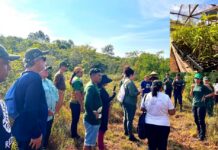 Projetos apoiados pela Eneva no Amazonas já mobilizaram mais de 400 hectares para restauração da vegetação nativa