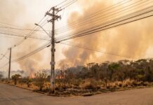 Setembro acende alerta para queimadas e risco de interrupções no fornecimento de energia na Região Norte. Imagem gerada com IA