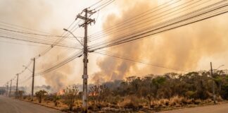 Setembro acende alerta para queimadas e risco de interrupções no fornecimento de energia na Região Norte. Imagem gerada com IA