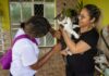 Manaus oferece vacinação contra a raiva para cães e gatos em 27 pontos fixos e visitas domiciliares