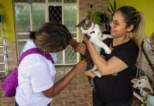 Manaus oferece vacinação contra a raiva para cães e gatos em 27 pontos fixos e visitas domiciliares