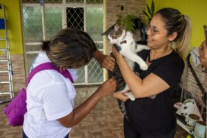 Manaus oferece vacinação contra a raiva para cães e gatos em 27 pontos fixos e visitas domiciliares
