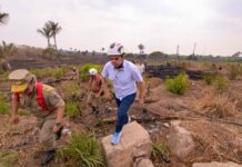 Governador Roberto Cidade fiscaliza combate a incêndio de grandes proporções na AM-070