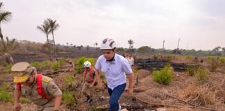 Governador Roberto Cidade fiscaliza combate a incêndio de grandes proporções na AM-070