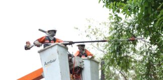 Âmbar Energia troca 900 transformadores e acelera recuperação da rede elétrica do Amazonas