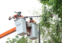 Prevenção de apagões: Âmbar Energia faz mais de mil podas e moderniza rede em 62 cidades do AM